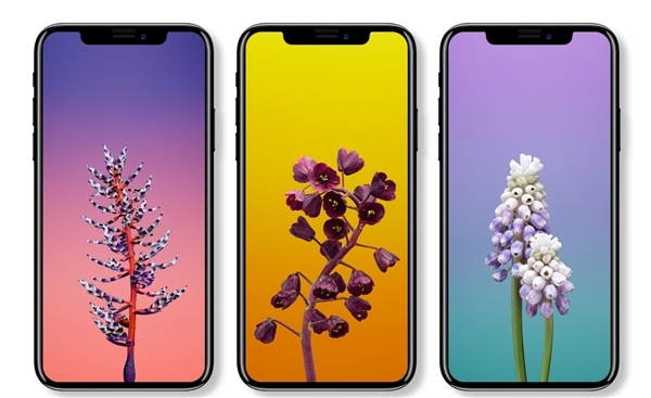 iPhone X處理器/內(nèi)存/攝像頭全曝光：安卓集體顫抖