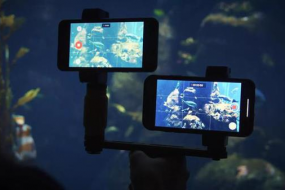 Pixel 2拍照對決iPhone X 單攝擊敗雙攝呢？